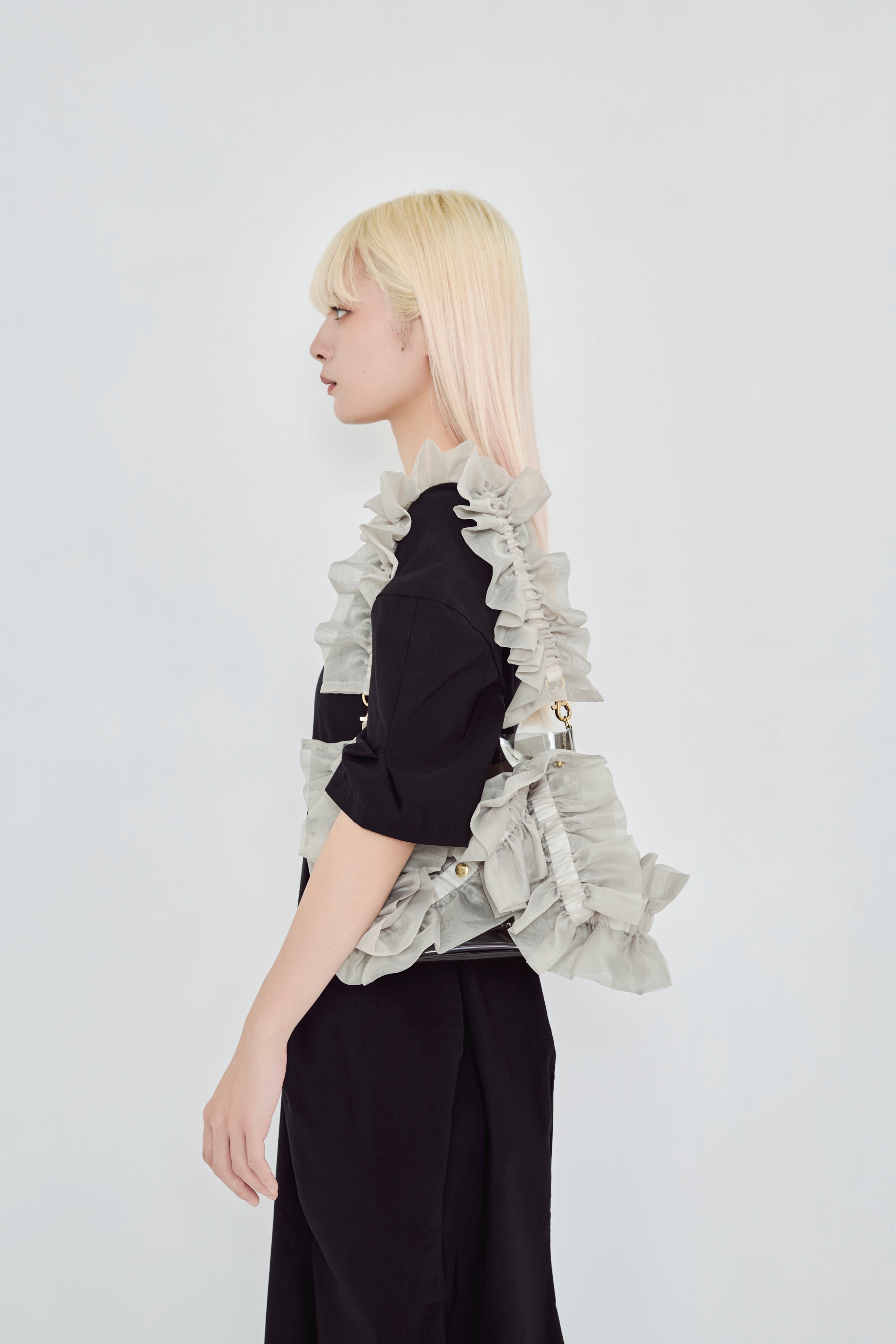 ホウガ HOUGA フリル付きクリアバッグ clear bag ノベルティ付き ホウガ HOUGA フリル付きクリアバッグ clear bag ノベルティ付き